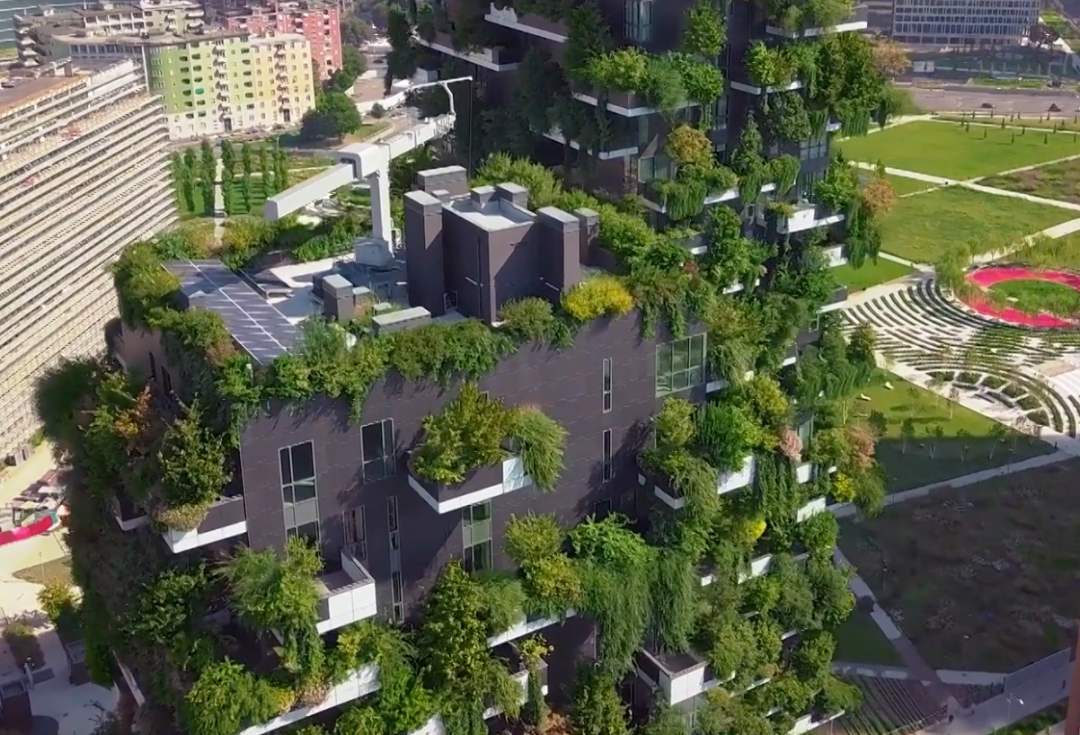 Understanding Sustainability