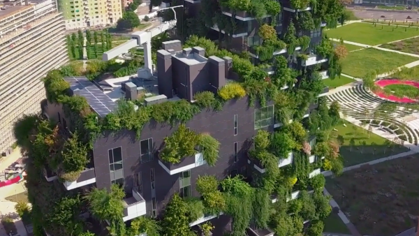 Understanding Sustainability