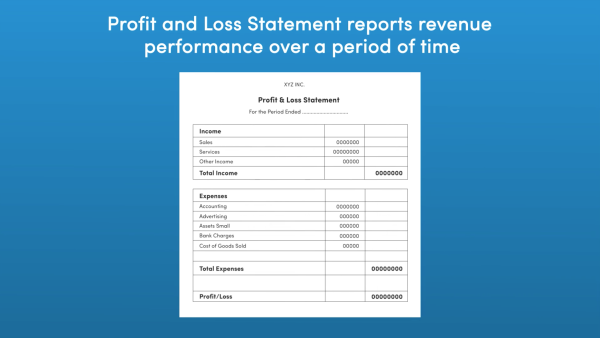 Understanding the Profit and Loss Statement