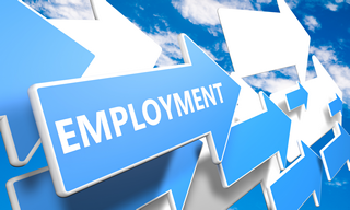 Employment Standards