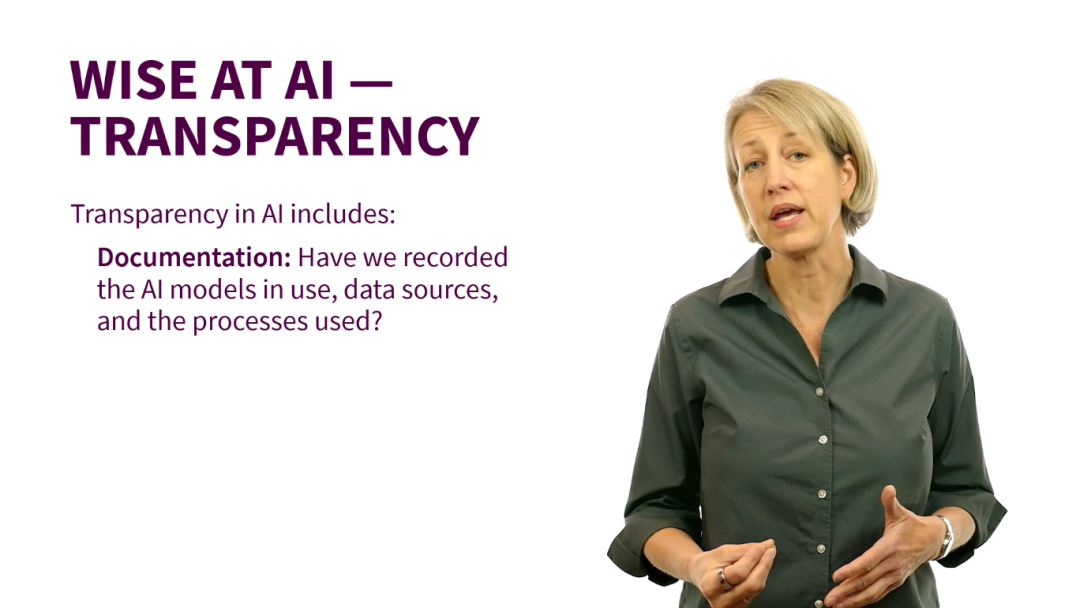 WISE AT AI: Transparency