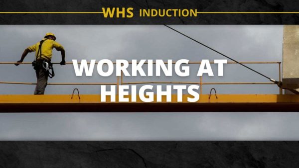 WHS Induction: Working at Heights
