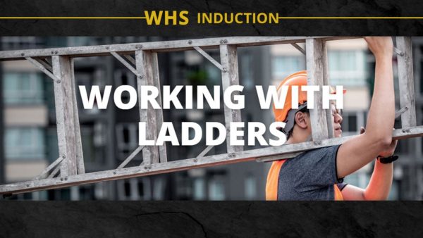 Working with Ladders