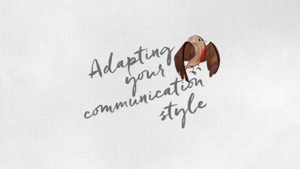 Adapting Your Communication Style