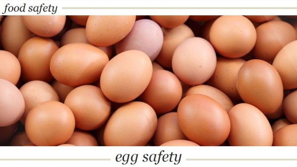 Food Safety: Egg Safety