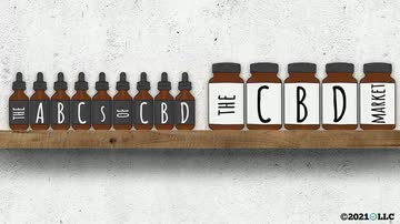 The ABCs of CBD: 02. The CBD Market