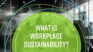 Sustainability Basics: What Is Workplace Sustainability?