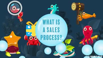 Basic Selling Skills: 04. What Is a Sales Process?