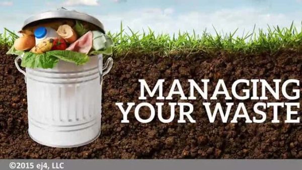 Workplace Sustainability: 05. Managing Your Waste