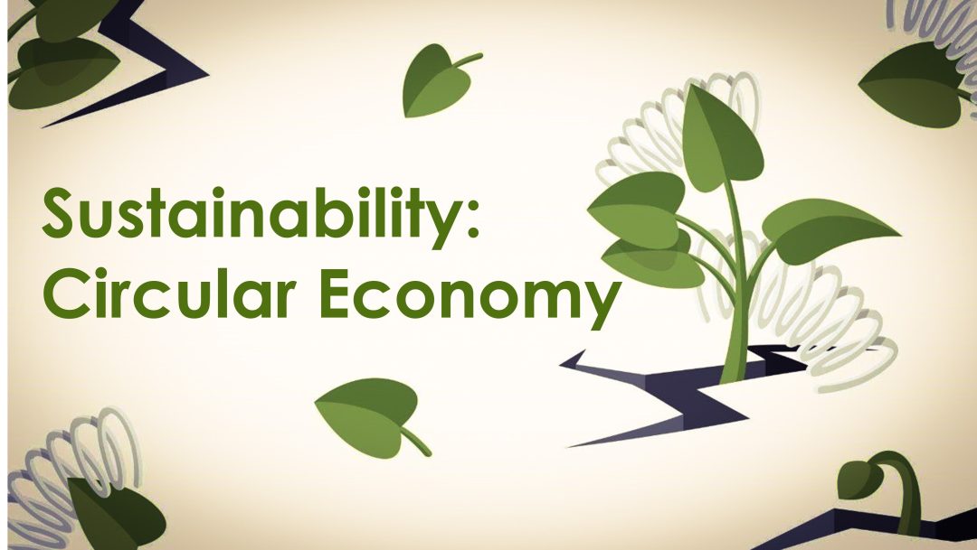 Sustainability: Circular Economy