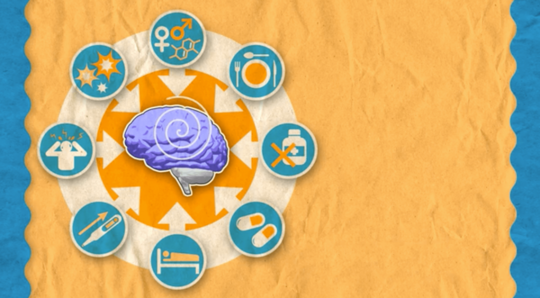 Epilepsy Training for Schools and Carers