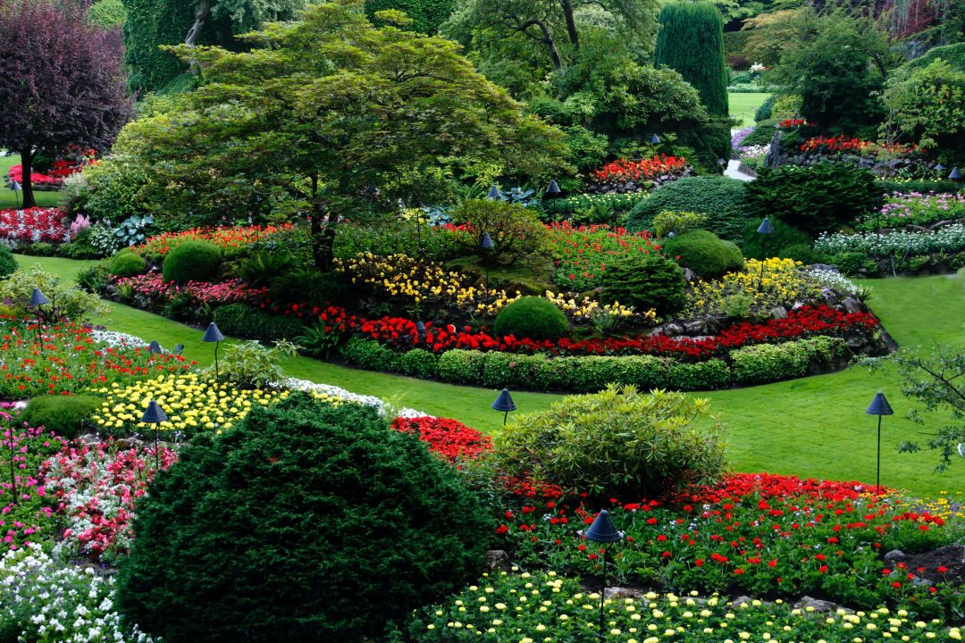 Construction Spanish: Landscaping