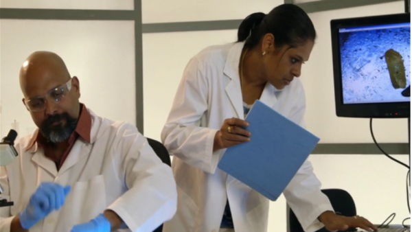 Ergonomics For Laboratories: Laboratory Ergonomics