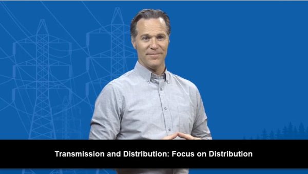 Transmission and Distribution: Focus on Distribution