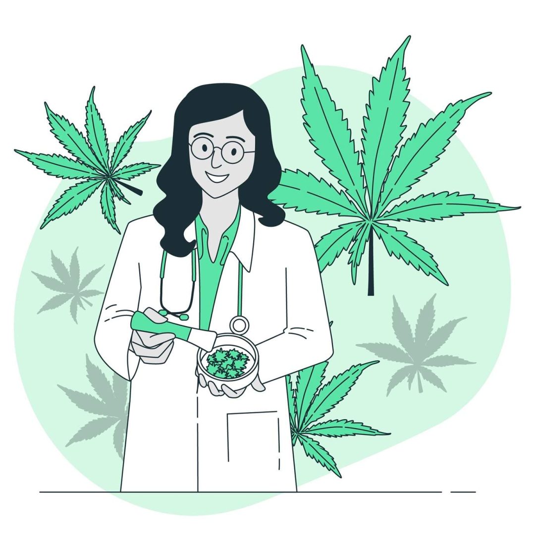A Comprehensive Guide to Medical Cannabis