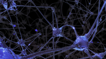 To Block or Not To Block: Safe and Effective Use of Neuromuscular Blockade