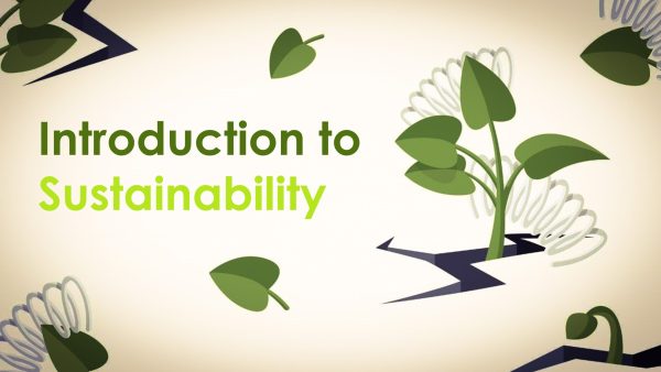 Introduction to Sustainability