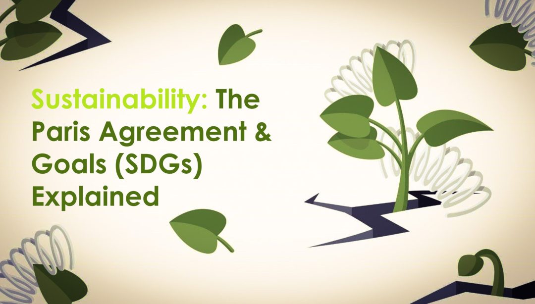 Sustainability: The Paris Agreement & Goals (SDGs) Explained
