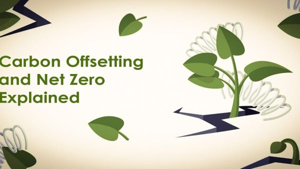 Carbon Offsetting and Net Zero Explained