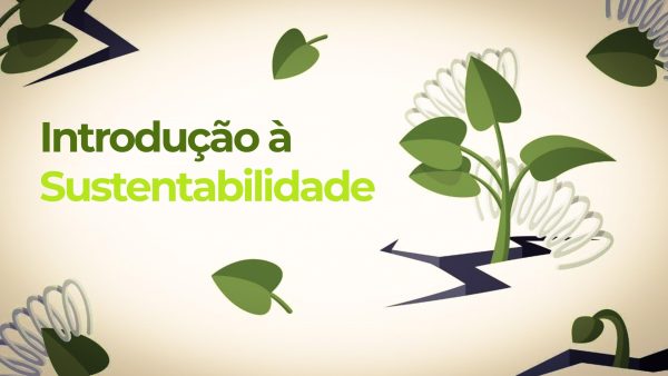 Introdu√ß√£o √† Sustentabilidade