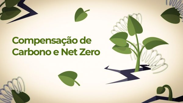 Compensa√ß√£o de Carbono e Net Zero Explicados
