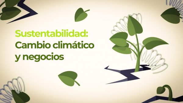 Cambio climático y negocios