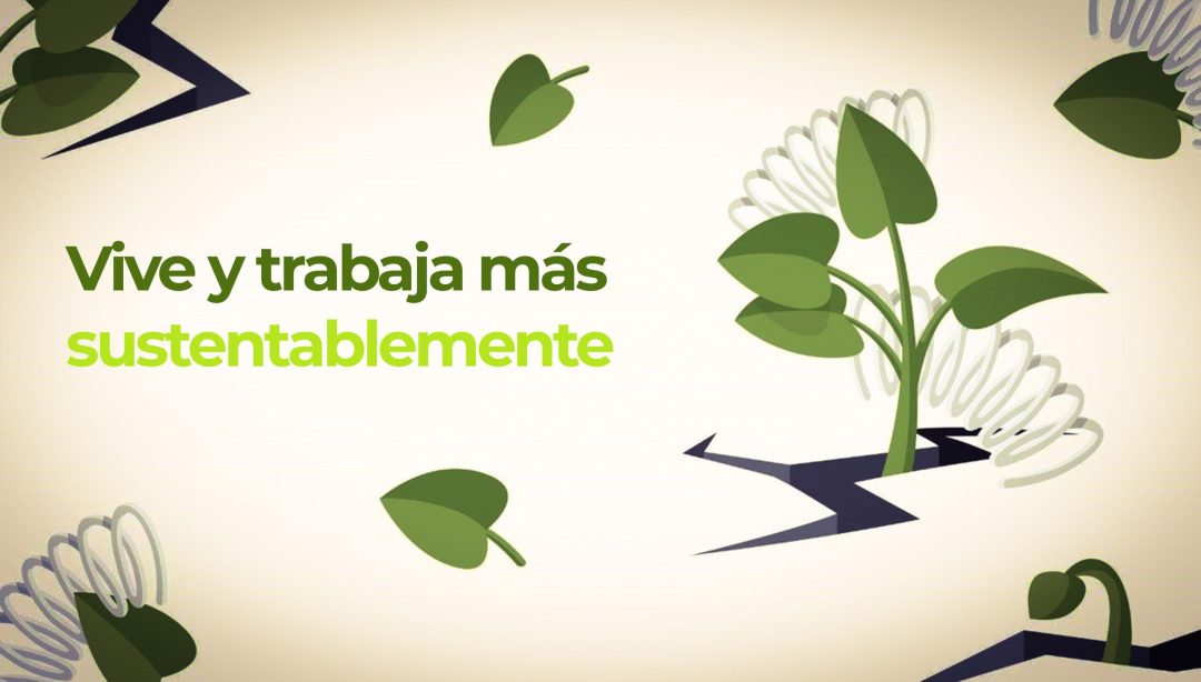 Vive y trabaja más sustentablemente