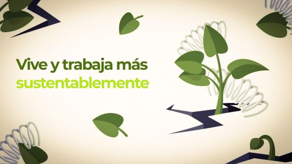 Vive y trabaja más sustentablemente