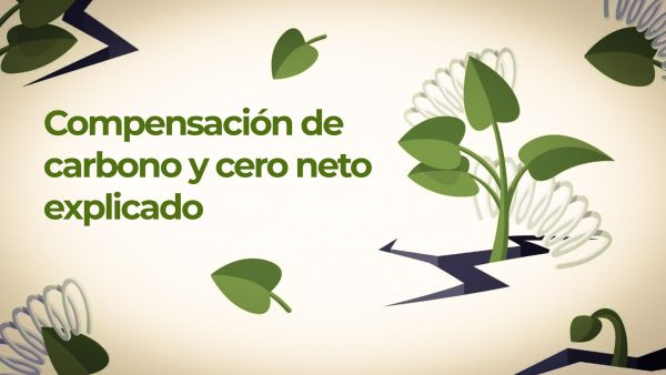 Compensación de carbono y cero neto explicado