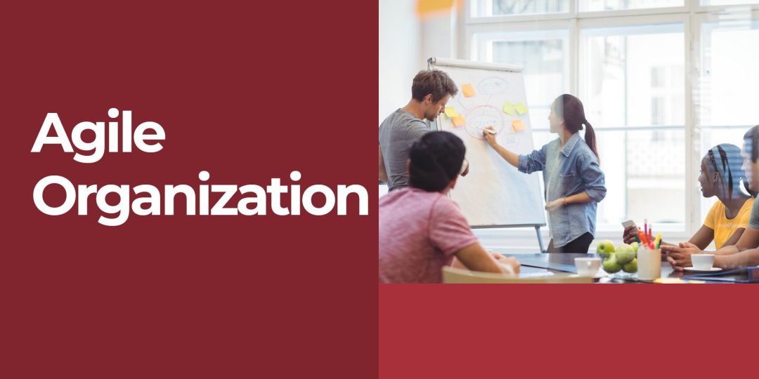 Agile Organization