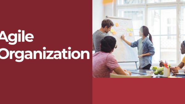 Agile Organization