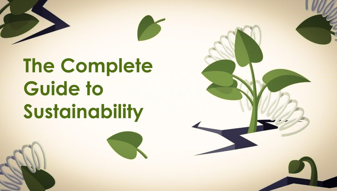 The Complete Guide to Sustainability