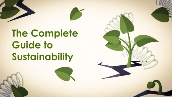 The Complete Guide to Sustainability