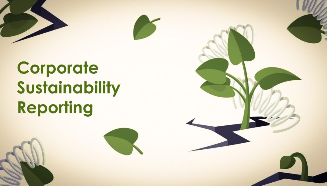 Corporate Sustainability Reporting