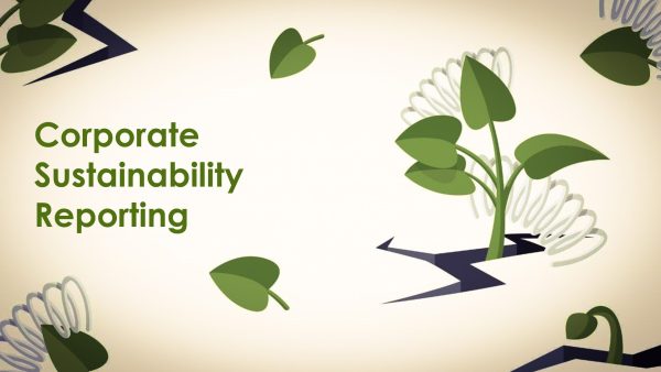 Corporate Sustainability Reporting