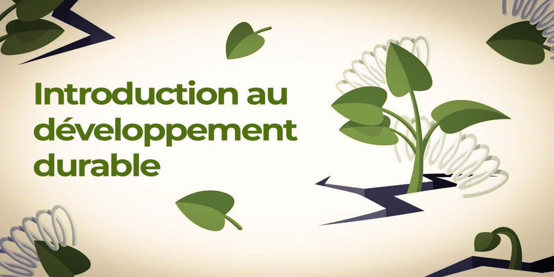 Introduction au développement durable