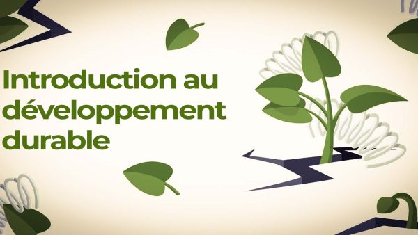 Introduction au développement durable