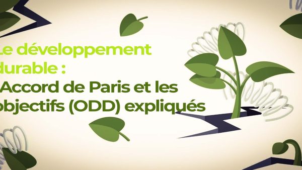 Le développement durable : l'Accord de Paris et les objectifs (ODD) expliqués