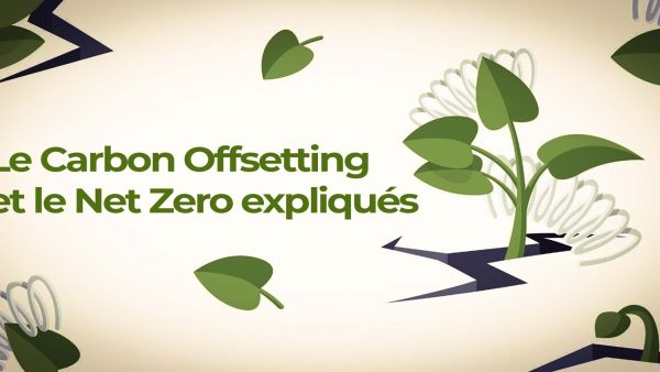 Le Carbon Offsetting et le Net Zero expliqués