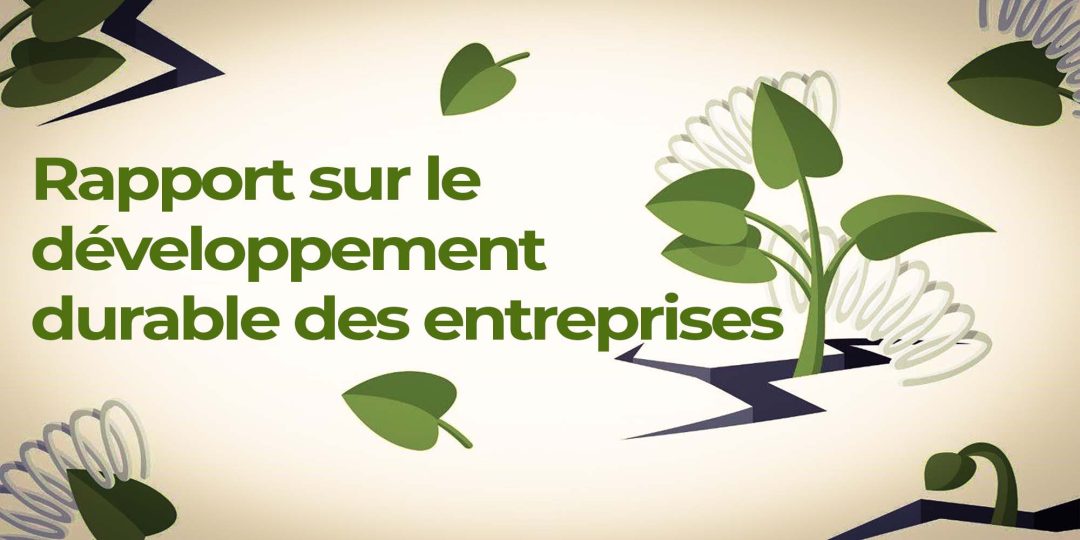Rapport sur le développement durable des entreprises