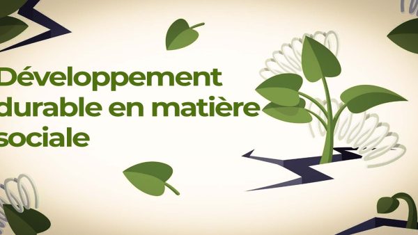 Développement durable en mati√®re sociale