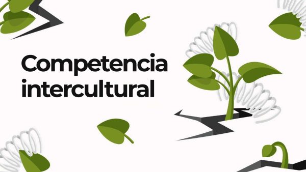 Competencia intercultural