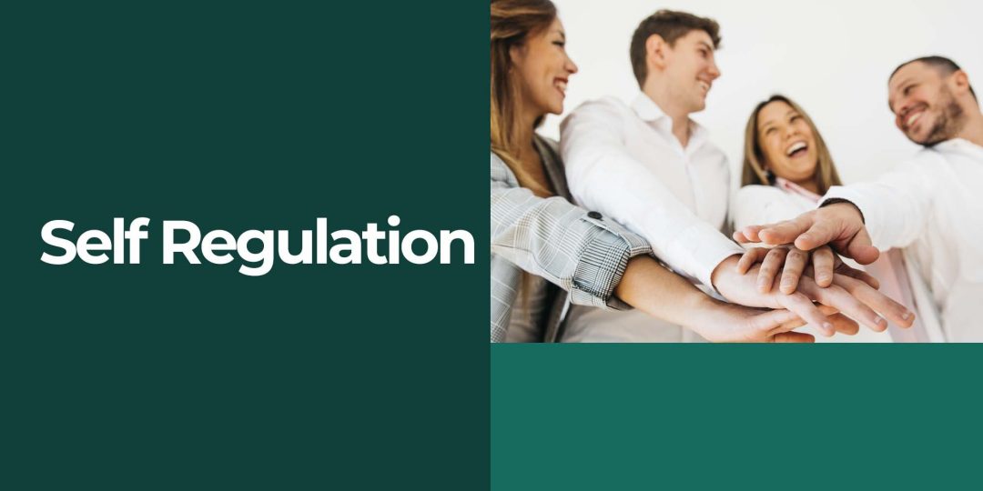 Self Regulation