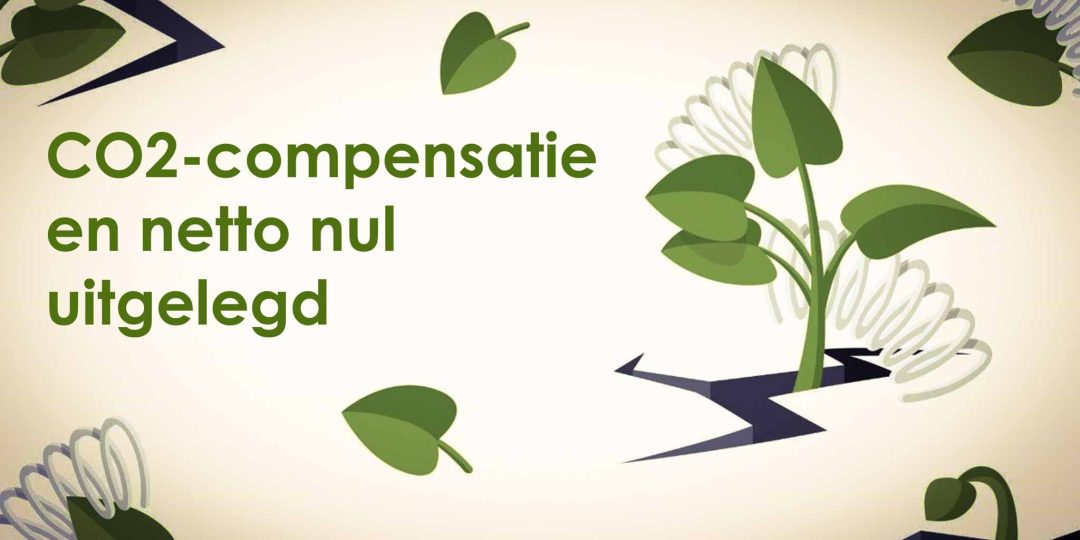 CO2-compensatie en netto nul uitgelegd