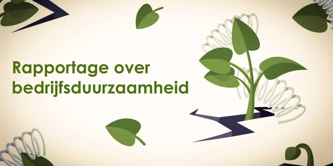 Rapportage over bedrijfsduurzaamheid