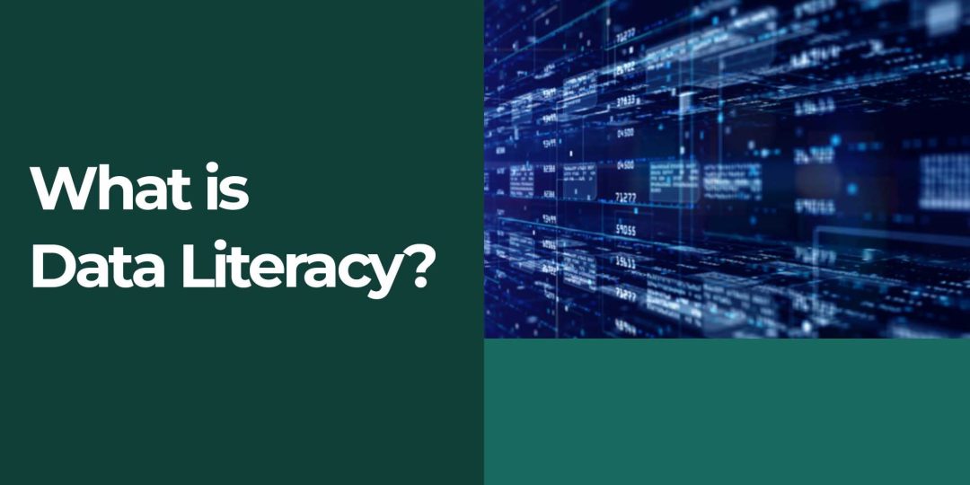 What is Data Literacy?