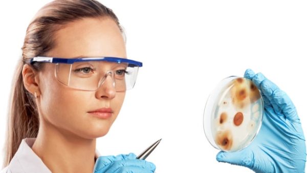 Mold Awareness (US)