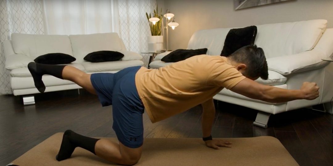 Active Mobility and Stabilization for Back Injury Prevention