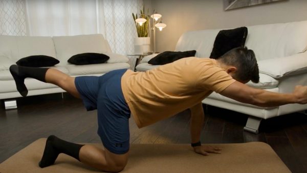 Active Mobility and Stabilization for Back Injury Prevention