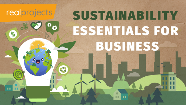 Sustainability Essentials for Business